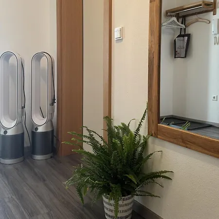 Romana - Altstadt Apartmán Schladming